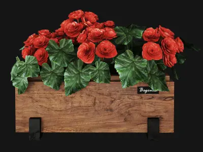 Begonia planter 3D model