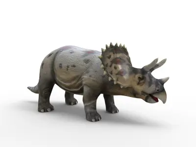 3D Realistic Triceratops Rigged and Animated  Low-poly 3D model