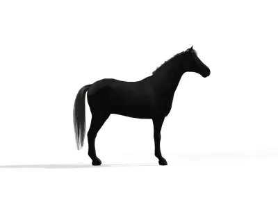 Black Dark Horse Low-poly 3D model