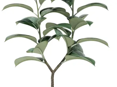 Plants collection 73 Modernica pots 3D model