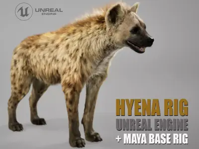 Hyena Rig UNREAL project   Maya base rig 3D model