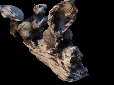 Squirrel Decoration 3D Scan Free 3D model