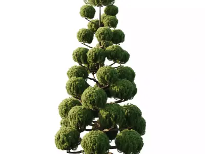 Excellent collection of Outdoor plants 11 Different Models 0032