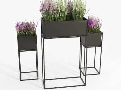 Calluna three metal planters with flowers 3D model