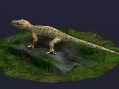 gecko animal lizard reptile stylized cartoon creature cute 3D model