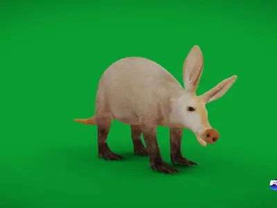Aardvarks Low-poly 3D model