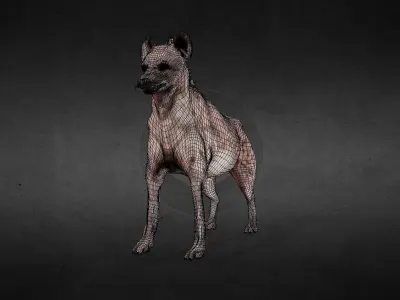Hyena Spotted Animated PBR Low-poly 3D model