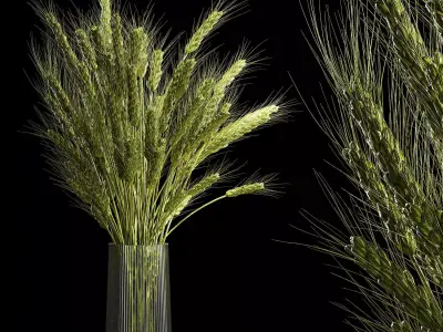 Bouquet Of Green Ears Of Wheat In A Vase 3D model