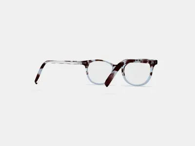 Virginia Eyeglasses in Icecap Tortoise Fade 3D model