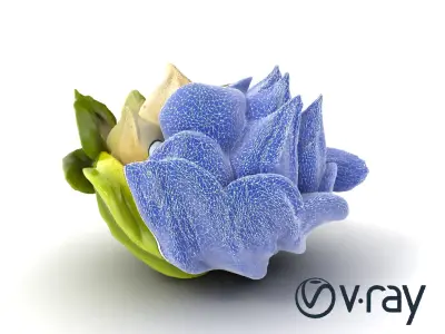 Floral Meringue Dessert Design model pack Low-poly 3D model