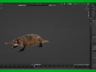 Platypus  Low-poly 3D model