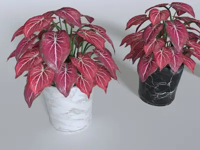 Pot Tropical Plant Pack 4 Low-poly 3D model