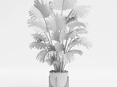 Indoor Plants 21-Chinese fan palm 3D model