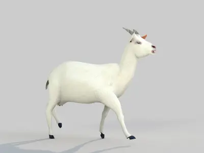 white goat two 3D model