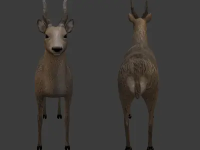 Next Gen AAA Royal Deer - Rigged Low-poly 3D model
