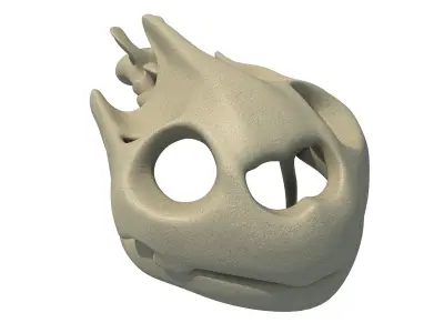 Tortoise  Skull Head 3D model