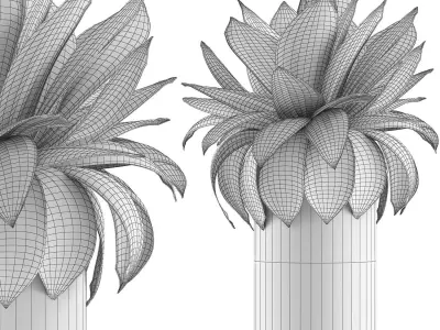 Plants Collection 101 3D model