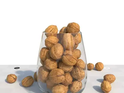 5 walnuts and a decorative vase - Photogrammetry Scan 3D model