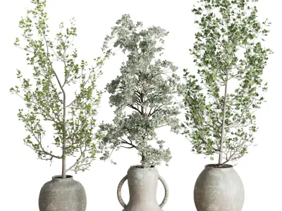 Collection indoor plant 240 pot Tree Bush Concrete Dirty Vase 3D model