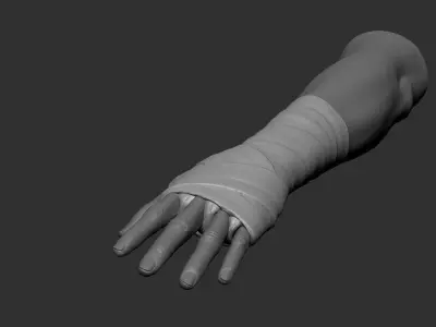 Hand Wraps 3D model