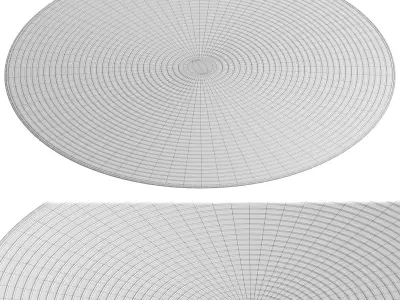 Round Rug 3D model