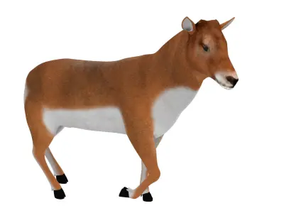 Deer Rigged and Animated 3D model