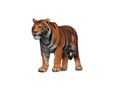 Tiger Low-poly 3D model 8