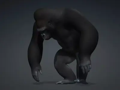 Gorilla-A1 3D model