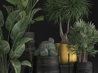 Decorative plants in Luxury Gold Pots for the interior 545 3D model