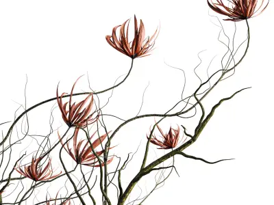 bouquet 3D model 6