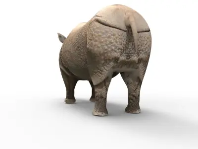 3D rhino rhinoceros Rigged realistic low poly  Low-poly 3D model