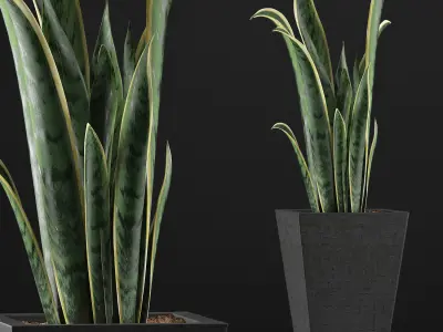 Plants Collection 95 3D model