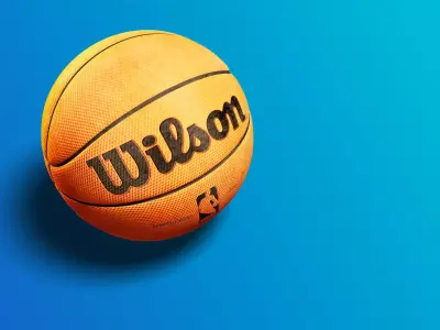 Wilson Basketball 3D Model  3D model