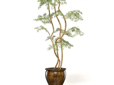 Tree in Metal Pot 3D Model 3D model