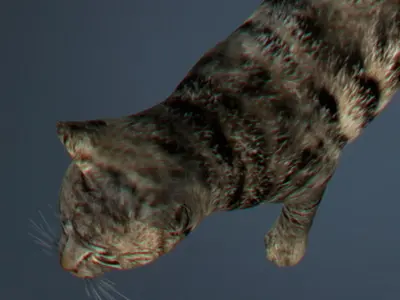 Pack - Domestic Animals 3D model