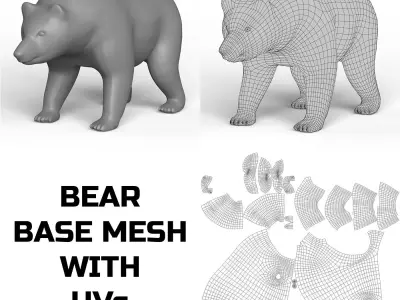 Bear Base Mesh Low-poly 3D model