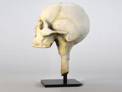 Mummy Skull Low-poly 3D model
