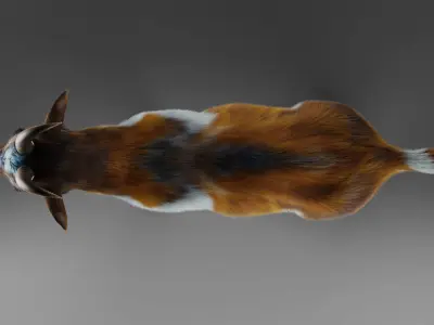 Fur Goat 01 NO Rigged in Blender Low-poly 3D model