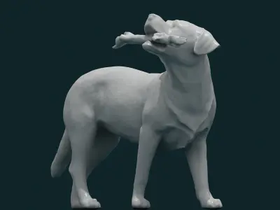 3D Dog Model 3D model