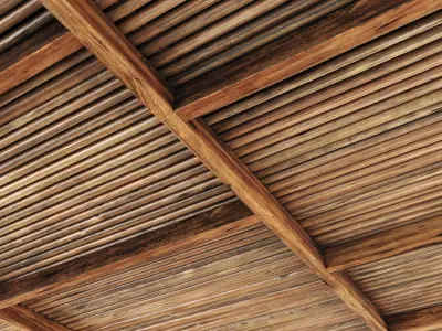Ceiling straight thin branch n6 3D model