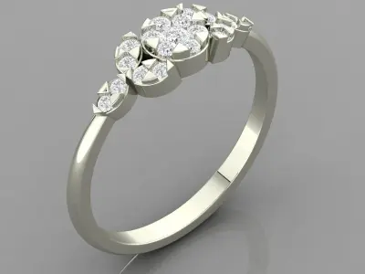 PRESSURE SETTING RING 25 3D print model