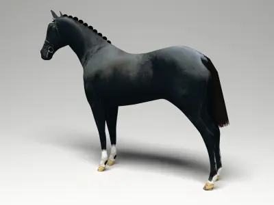 Black Horse 3D model
