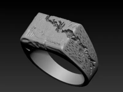 Fraction Ring 3D print model