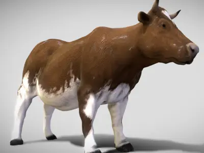 Cow  The Gentle Grazer of Fields and Farms 3D Model Low-poly 3D model