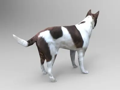 3D Dog animated low poly 3d  Low-poly 3D model