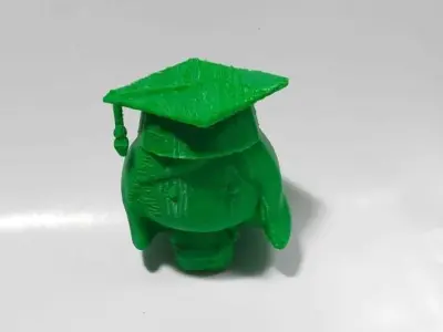 Graduate Girl 3D print model