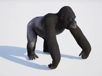 Gorilla 3D model shop