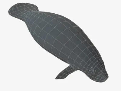 West Indian manatee Low-poly 3D model