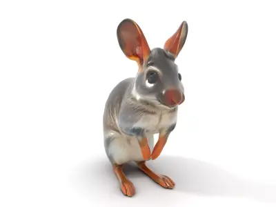 Bushytailed Bilby model pack Low-poly 3D model