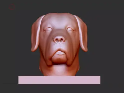 Dog face  3D model